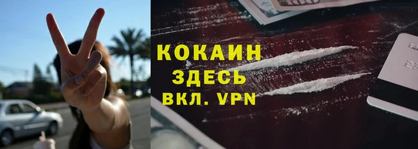 ПСИЛОЦИБИНОВЫЕ ГРИБЫ Баксан