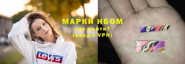 ПСИЛОЦИБИНОВЫЕ ГРИБЫ Баксан