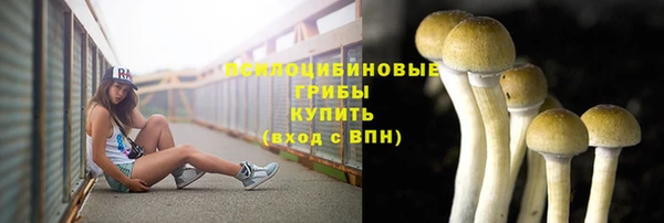 ПСИЛОЦИБИНОВЫЕ ГРИБЫ Баксан