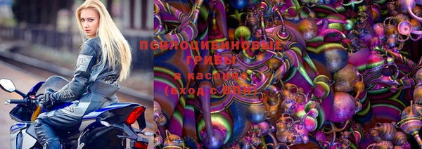 ПСИЛОЦИБИНОВЫЕ ГРИБЫ Баксан
