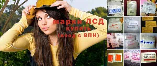 ПСИЛОЦИБИНОВЫЕ ГРИБЫ Баксан