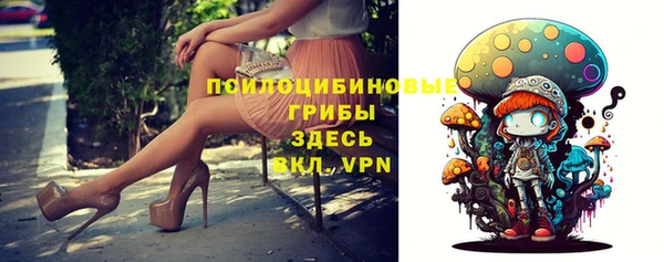 ПСИЛОЦИБИНОВЫЕ ГРИБЫ Баксан