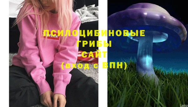 ПСИЛОЦИБИНОВЫЕ ГРИБЫ Баксан